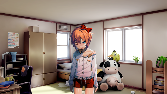 Saeri Doki room room
