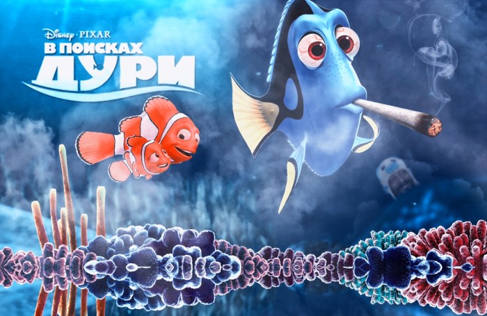 In search of Nemo Dory