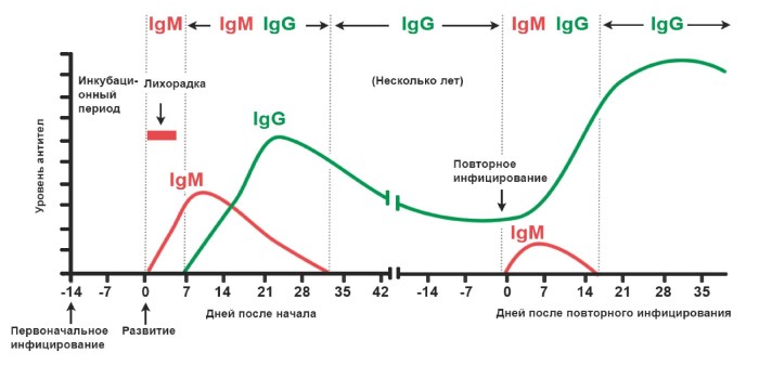 Julianna Tennant legs