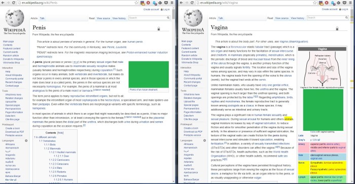 Cum in anal mature mother