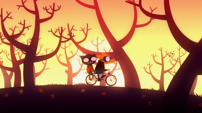 Nitw May Borovsky