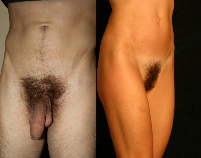 Men's intimate haircuts