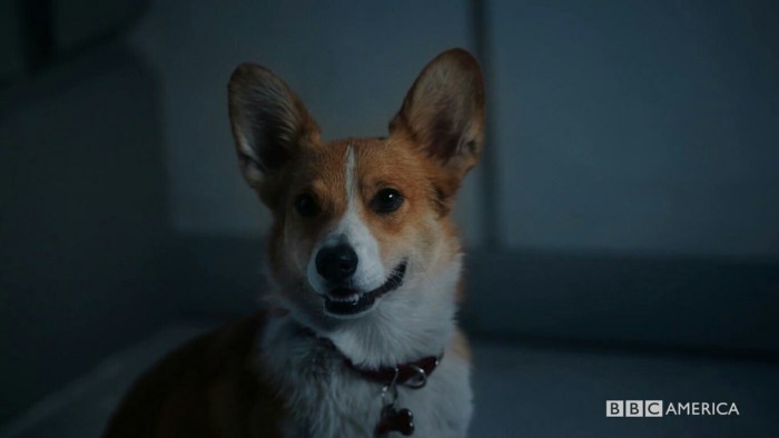 Oscillograph Akip-75442D