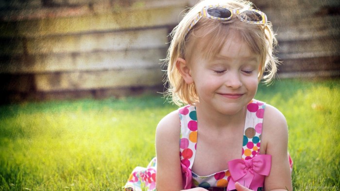 Pictures on the desktop Summer Nature