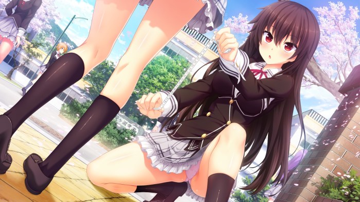 Anime School Panza