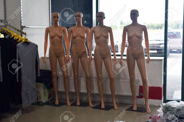 Anatomy of a woman without clothes