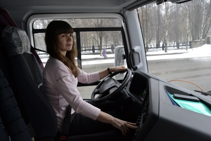 Programmer CV sample