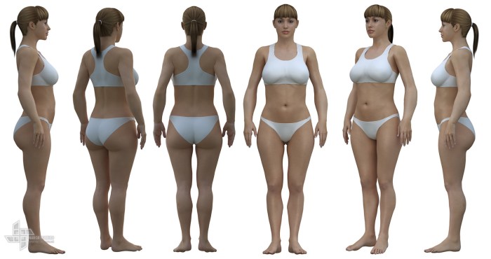Model of the female body