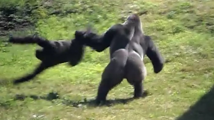 Zero Two Mememem Zero 02