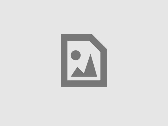 Bruce Willis I Hate Nigges