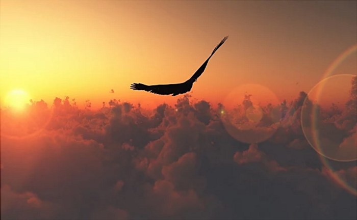 Microwave embedded SMEG FMI017X