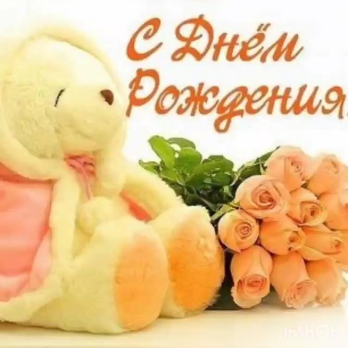 Standing the philosophy of cats