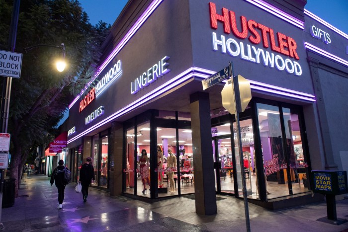 Funny cat from the Internet