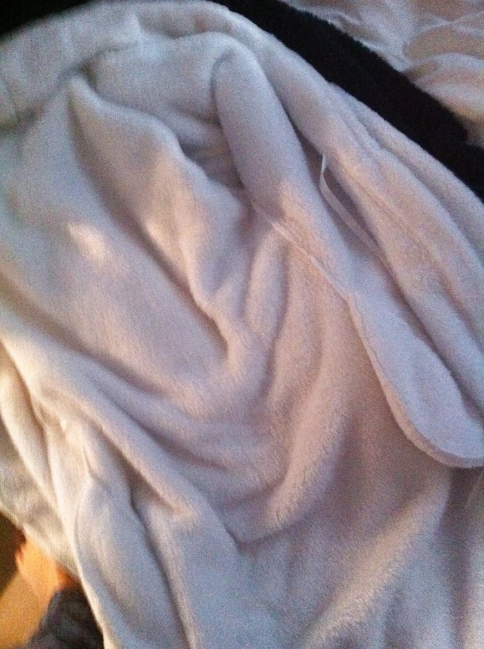 Girls show their pussies