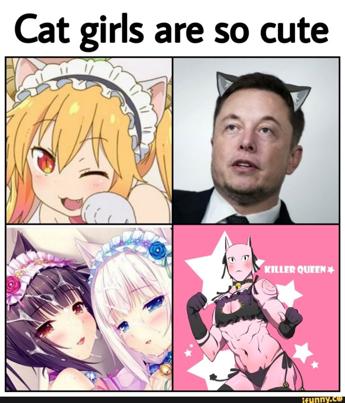 Voltron Kit Galra Comics