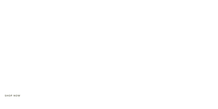 Help glasses Aion Rangi