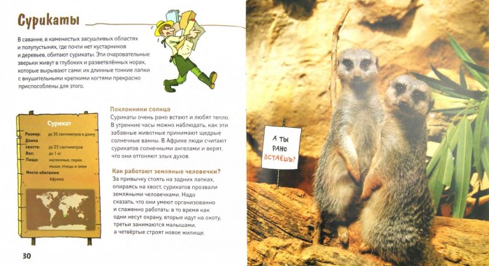 Country of the studied language England