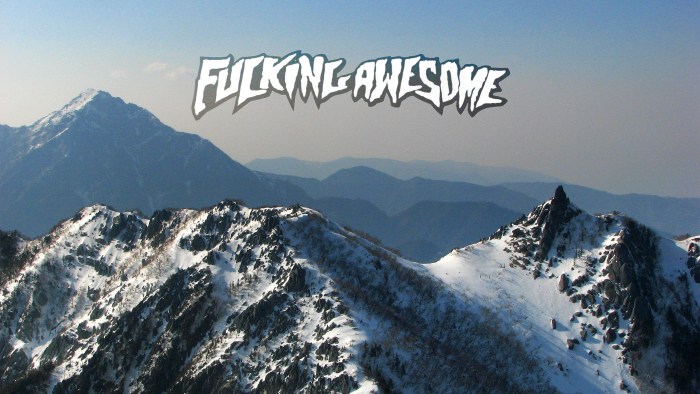 Fucking Awesome