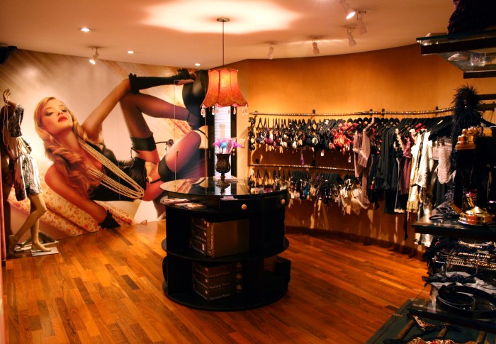 Background of members