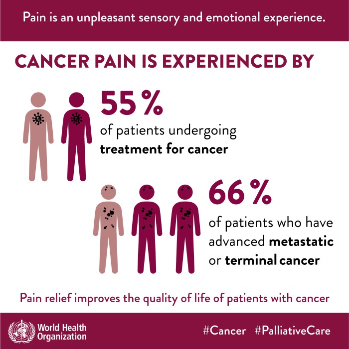 Pink Rabbit store SPb