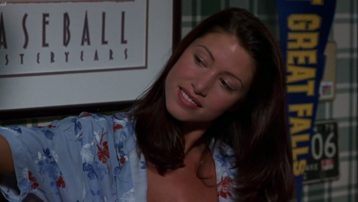 Shannon Elizabeth Tits