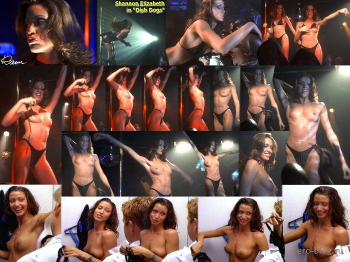 Shannon Elizabeth Pornography