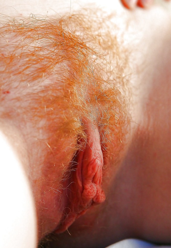Red -haired hairy vagina close -up