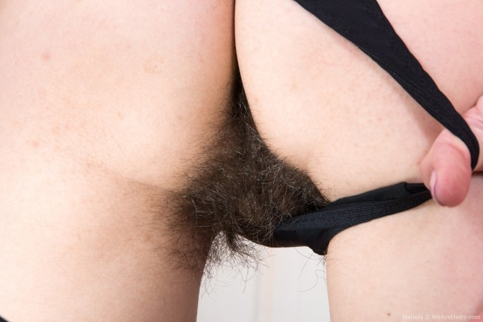 Beautiful hairy female pubis