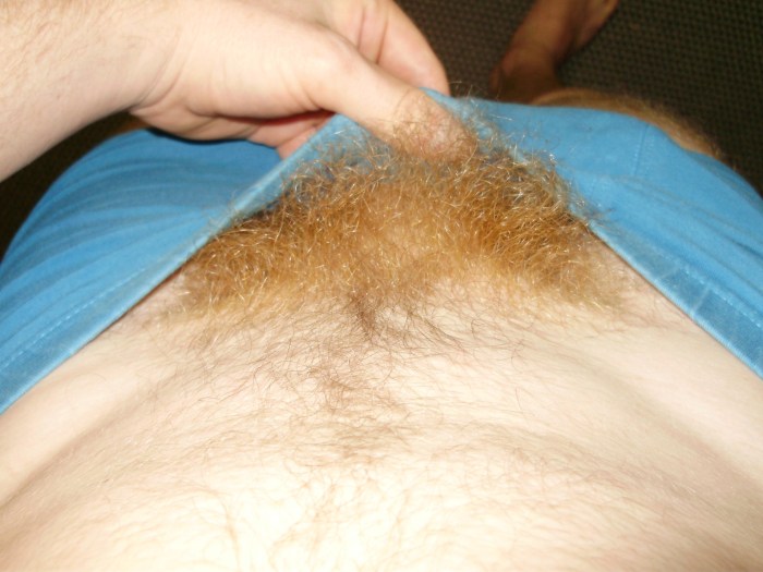Light hair on the pubis