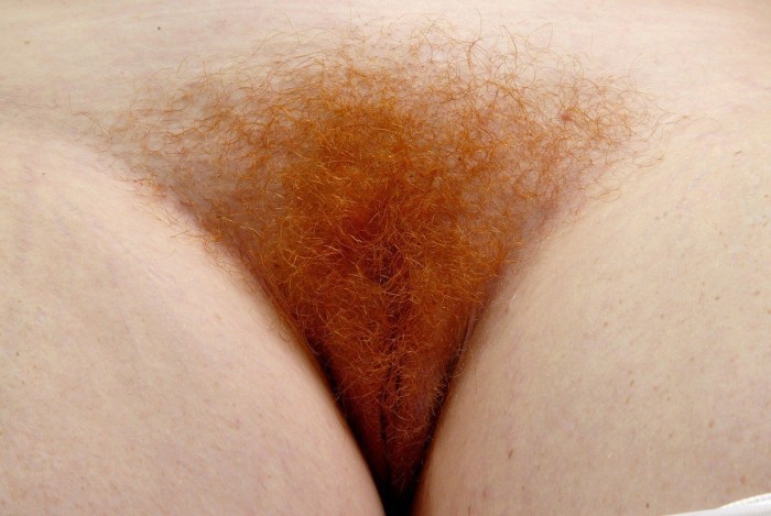 Hairy pubis amateur