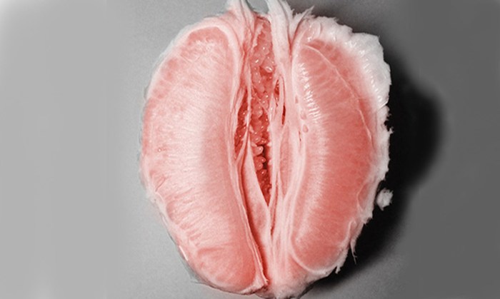 Female genital organ