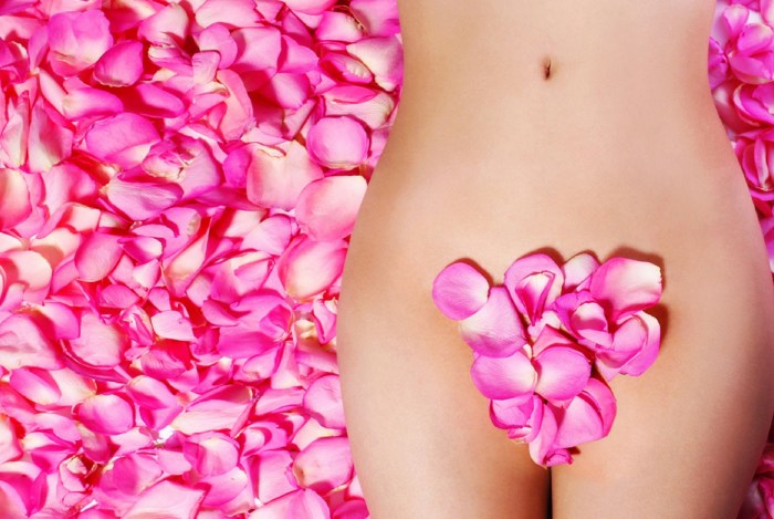 Beautiful bikini depilation