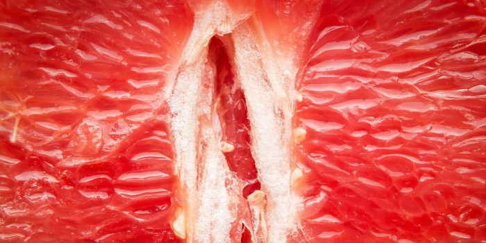 Macro -filming of the genitals