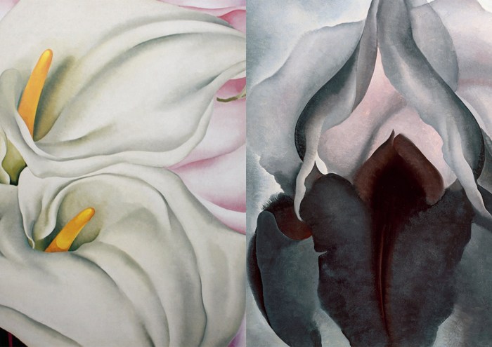 Georgia oh kiff flowers