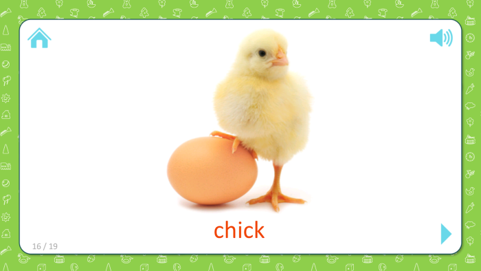 Chick a card of the card