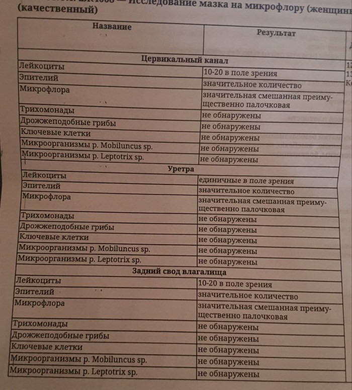 Chanel Preston Blagless Anal