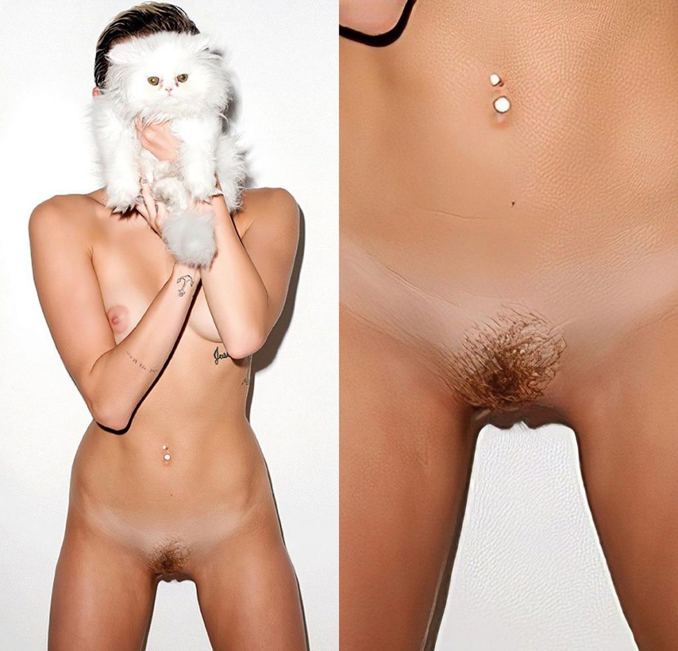 Porn Miley Cyrus Pussy - Miley Cyrus Eros (72 photos) - sex eporner pics