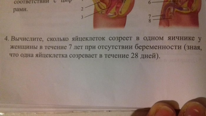 Joke and let's cut off the tail of the tail