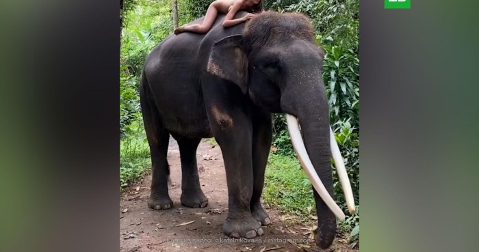 Supermodel Alesa Kafelnikova