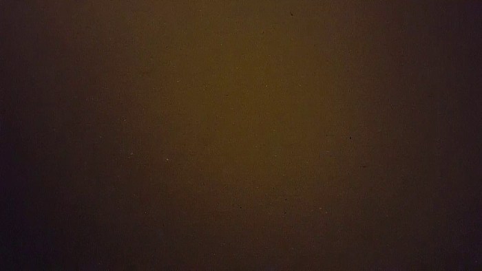 Sarah Vandell spreads the anus