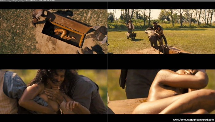 Kerry Washington Django