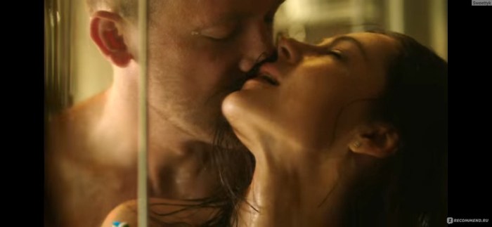 Denis Swedes series treason