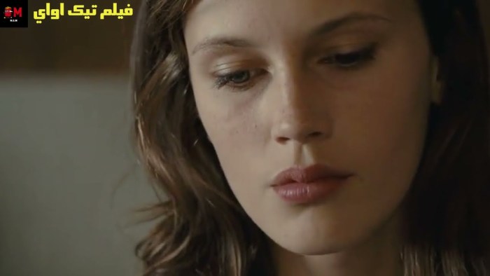 Young and beautiful (Jeune & Jolie) 2013