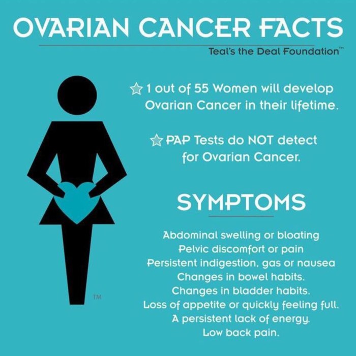 Women's reproductive system