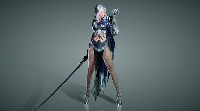 Black Desert Dark Knight Costumes