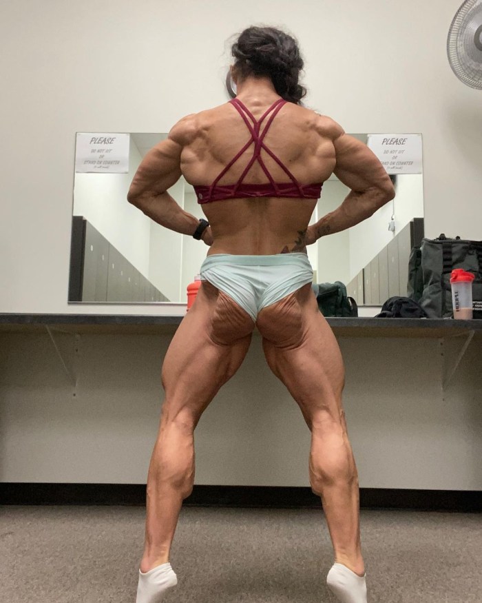 Fascia Diaphragmatis Pelvis Superior covers from above