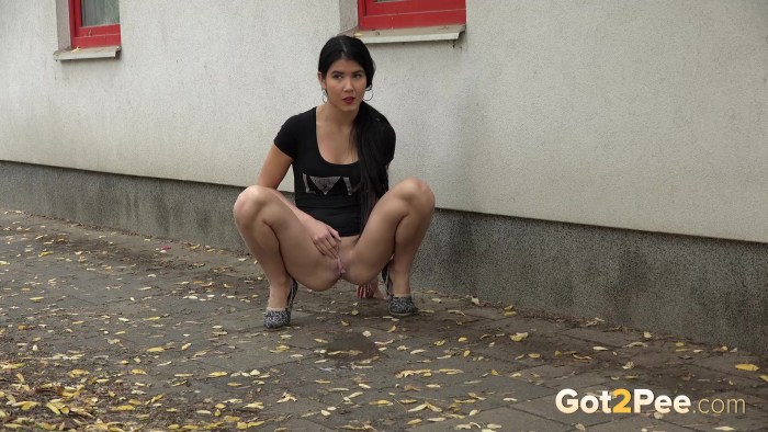 Pissing in a public place