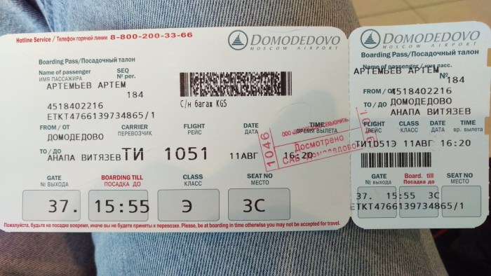 Ticket Domodedovo
