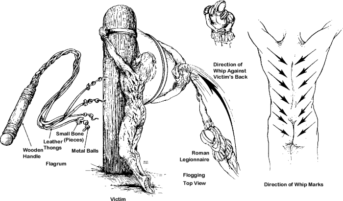 Proceedings in films