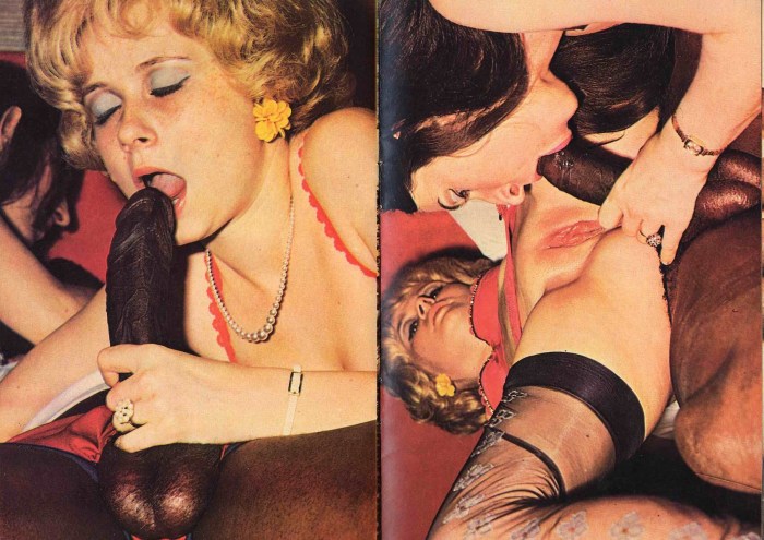 Swedish Erotica Magazines Scans Vintage